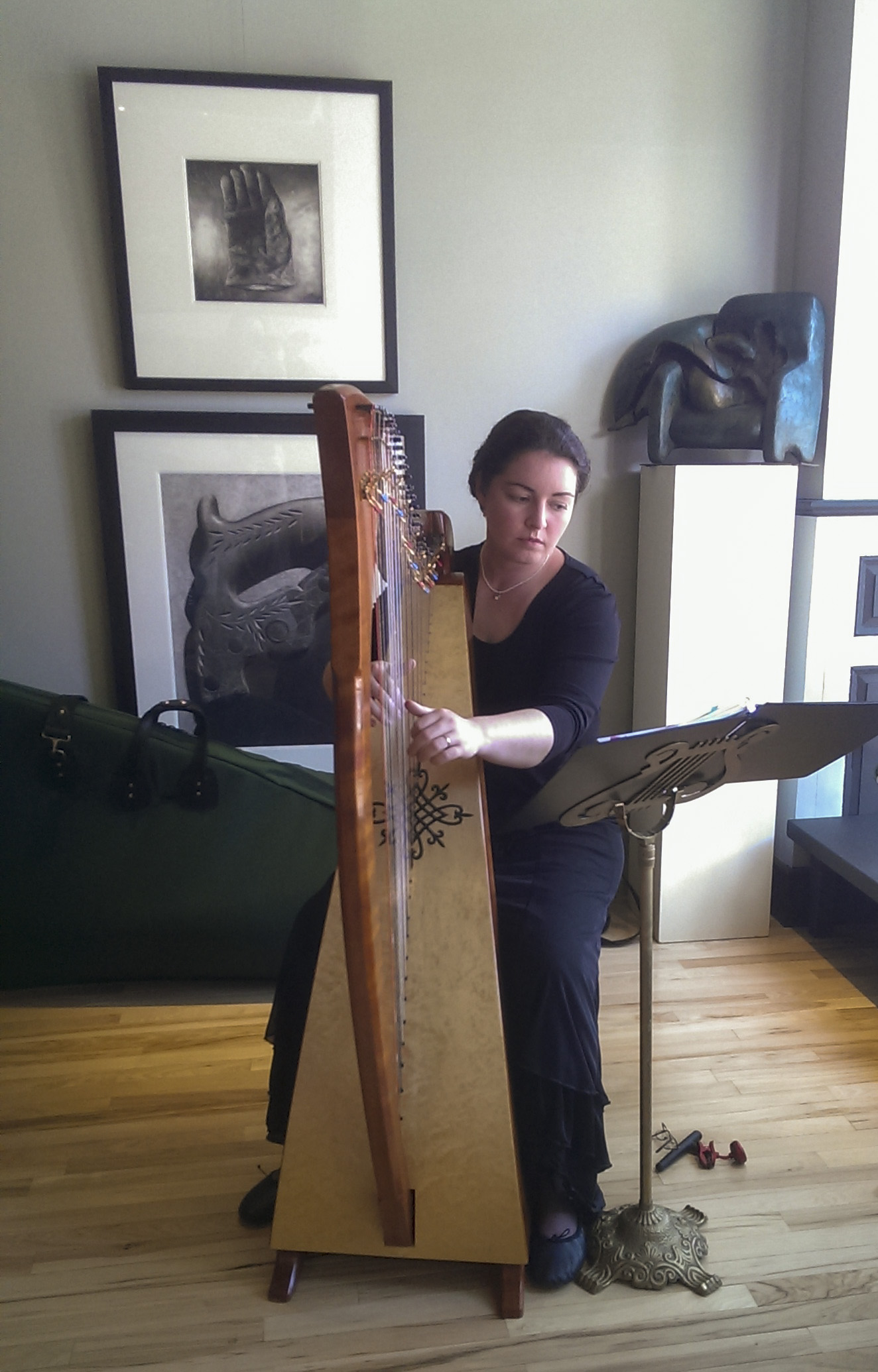Hands on Harps Workshop @ Union Episcopal Church Hall | Claremont | New Hampshire | United States